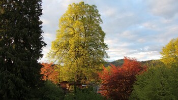 teufen