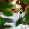 hotel and spezialitatenrestaurant zur linde