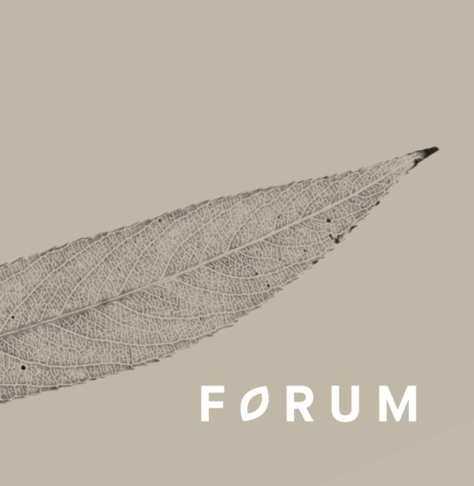 hotel forum widnau