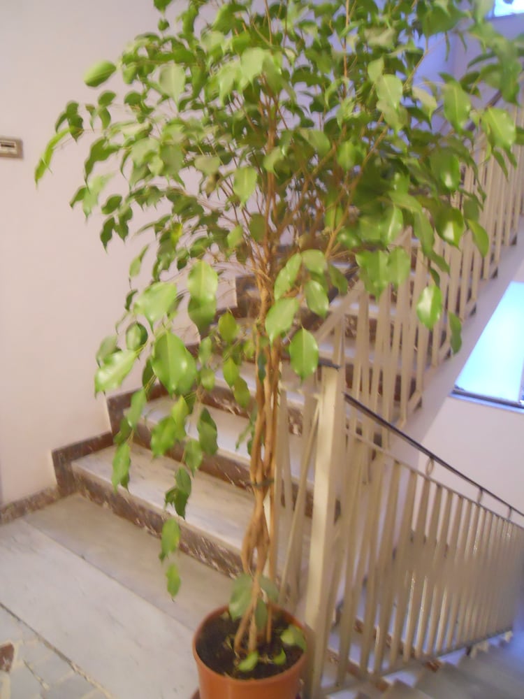 catania crossing bandb rooms and comforts