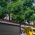 pune