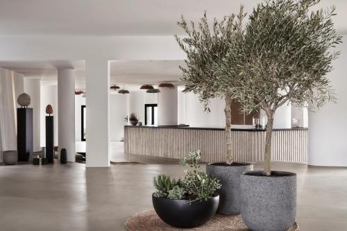 orama hotel and spa