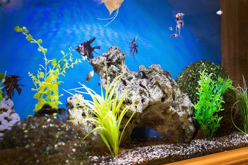 olympia wellness hotel