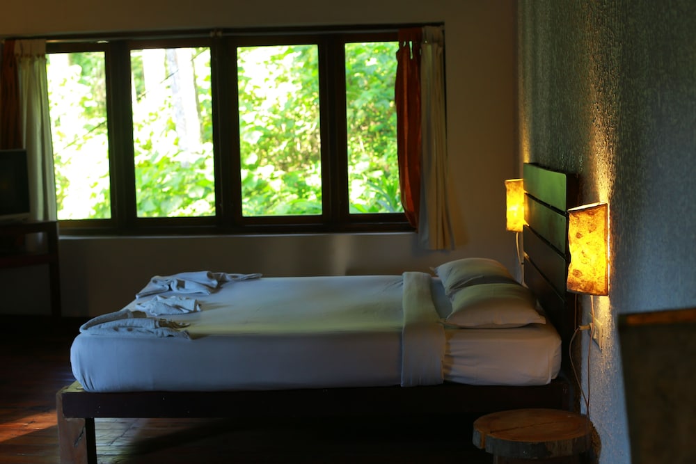 green spaces munnar