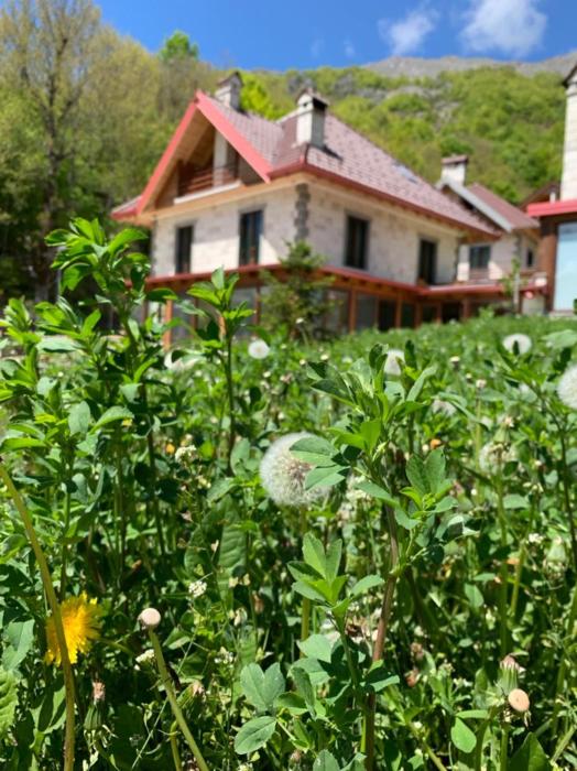 Joen Village,Stëblevë>>Librazhd,3.5 star