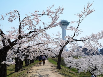 hakodate