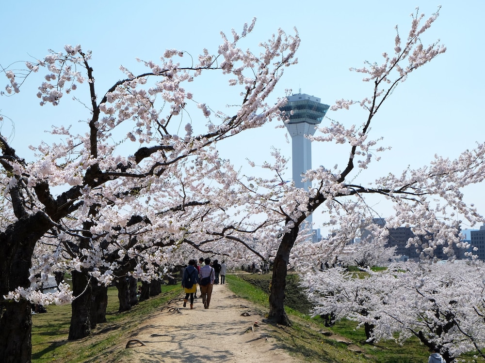 hakodate