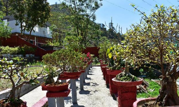 hanumanti river view resort