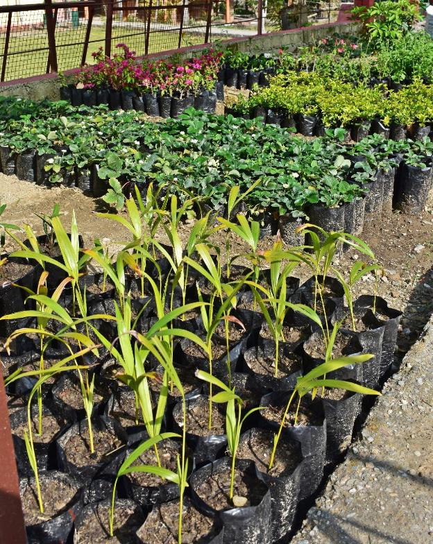 hanumanti river view resort