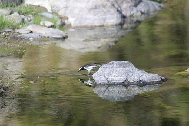 hanumanti river view resort