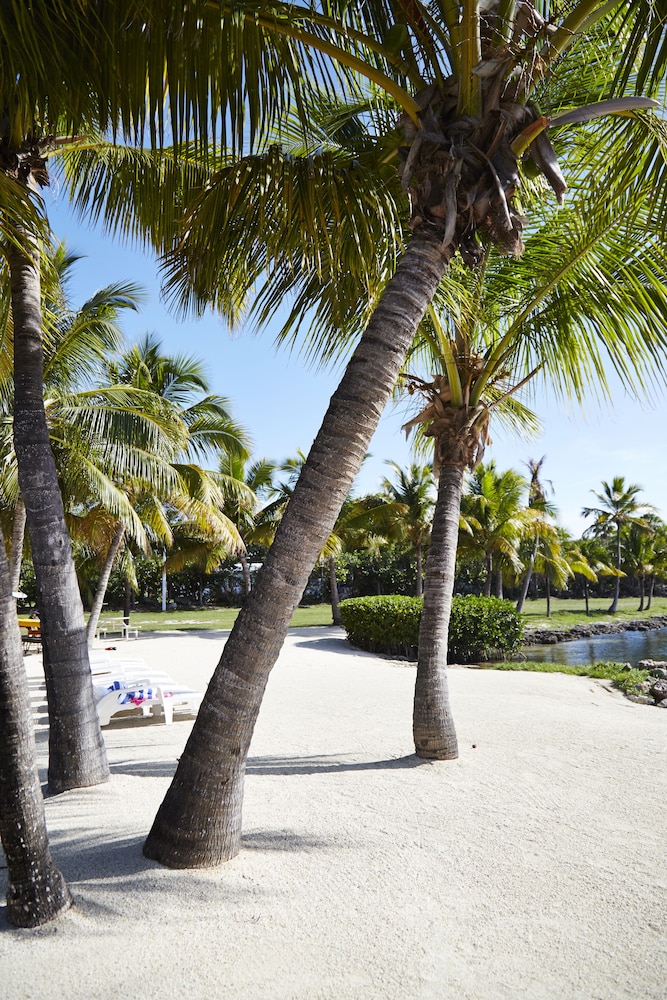 atlantic bay resort