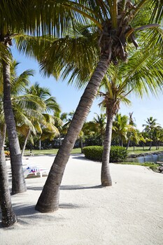 atlantic bay resort