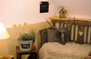 boutique hotel viva creativo