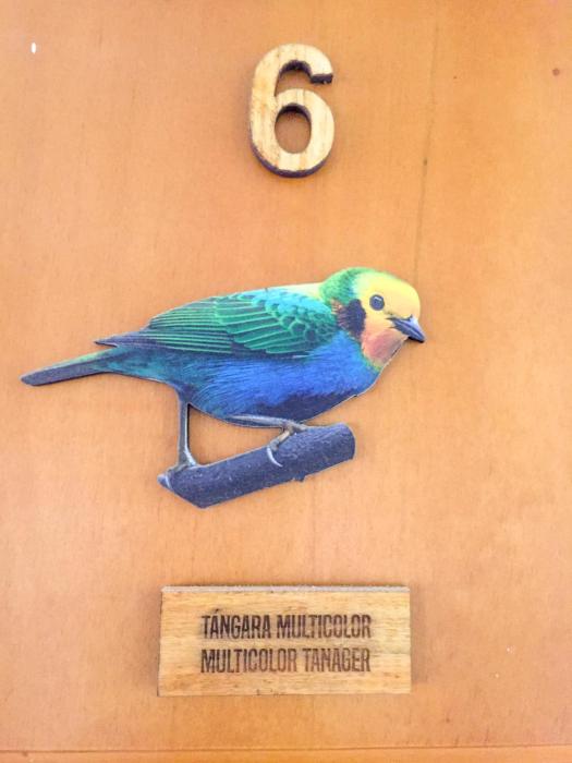 cotinga hotel spa