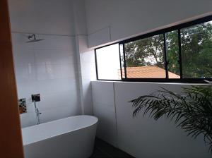 cotinga hotel spa