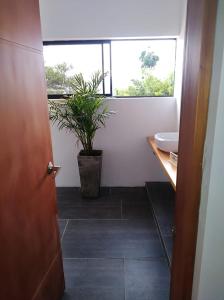 cotinga hotel spa