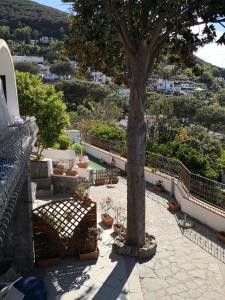 Hotel Myage,Casamicciola Terme>>Campania,4 star