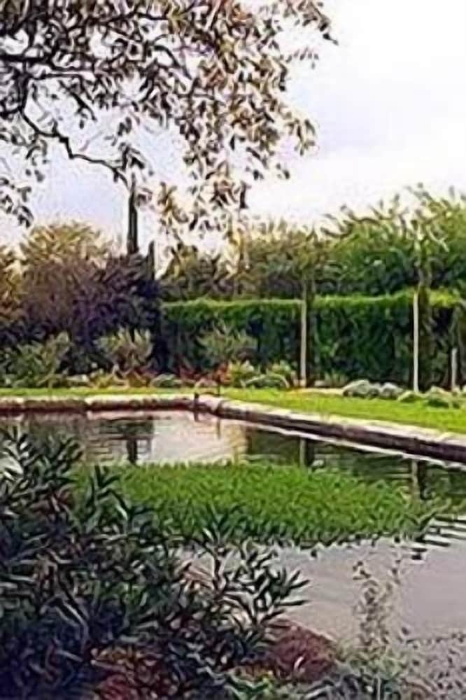 le mas des carassins