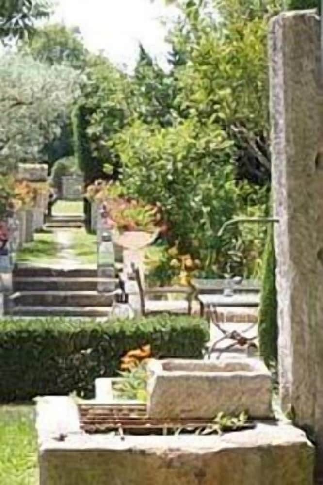 le mas des carassins