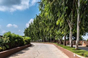 green paradise