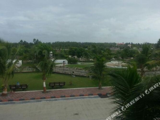green paradise