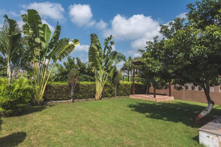 green paradise