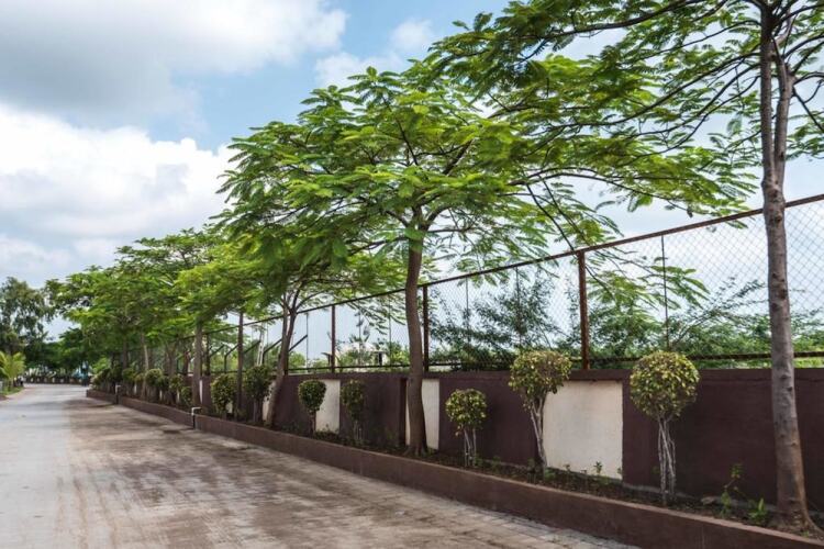 green paradise