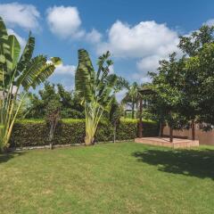 green paradise