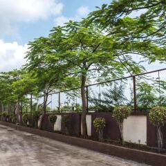 green paradise