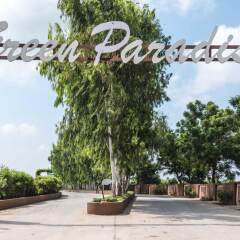 green paradise