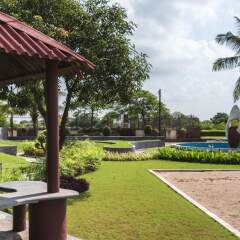 green paradise