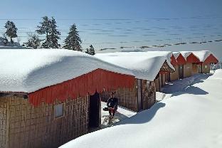 Himalayan Roots,Kanatal>>Dhanaulti,3 star