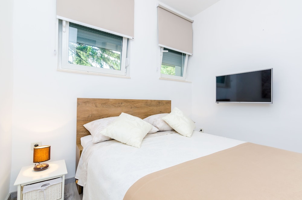 camelia luxury apartments