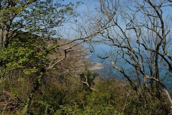 cherbourg en cotentin