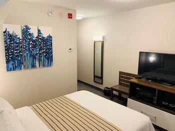 chandni victoria bw signature collection