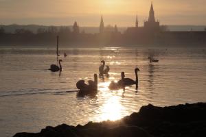 konstanz