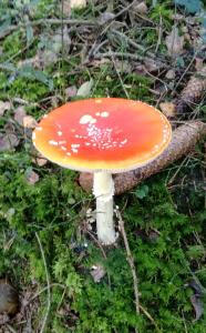 Hotel Lugerhof,Bavaria>>Bad Koetzting,2 star