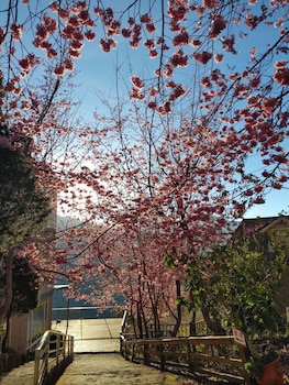 chingjing new paradise bandb