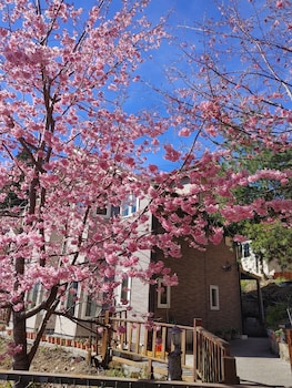 chingjing new paradise bandb