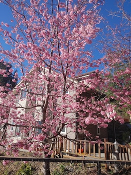 chingjing new paradise bandb