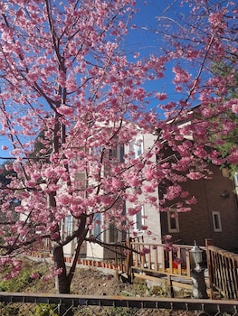 chingjing new paradise bandb