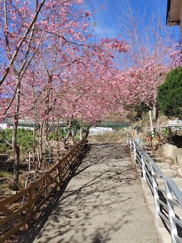 chingjing new paradise bandb