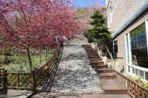 chingjing new paradise bandb