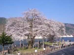 hotel ryu resort and spa
