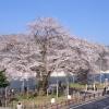 hotel ryu resort and spa