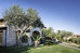 cruccuris resort adults only
