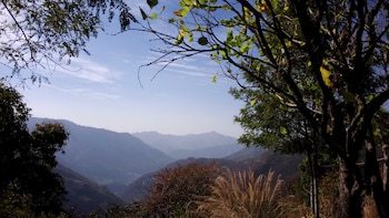 pauri