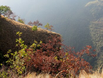 auranya the mystical himalayan retreat