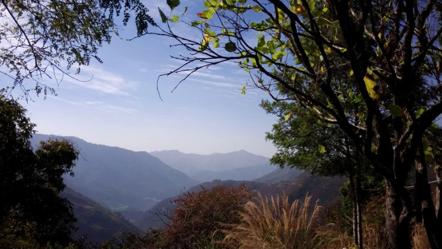 pauri
