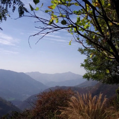 pauri